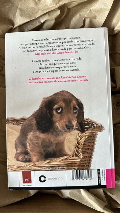 Livro ‘Cão procura príncipe encantado para dona espetacular’