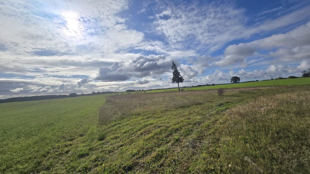 Działka z pozwoleniem na budowę Grabowo 1100 m² - Widok 2