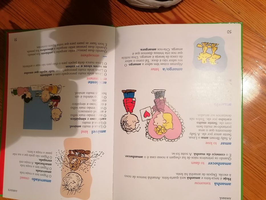 O Dicionário do Charlie Brown
