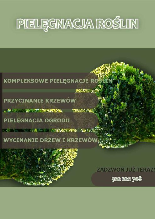 Pielęgnacja ogrodów