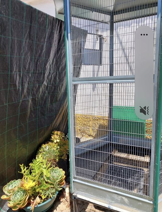 Venda de viveiro pássaros