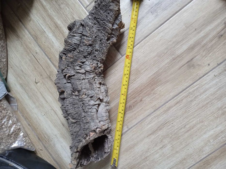 Tuba z kory do terrarium