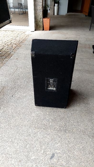Colunas Peavey SP5