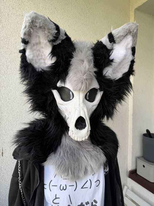 Furry fursuit skull dog