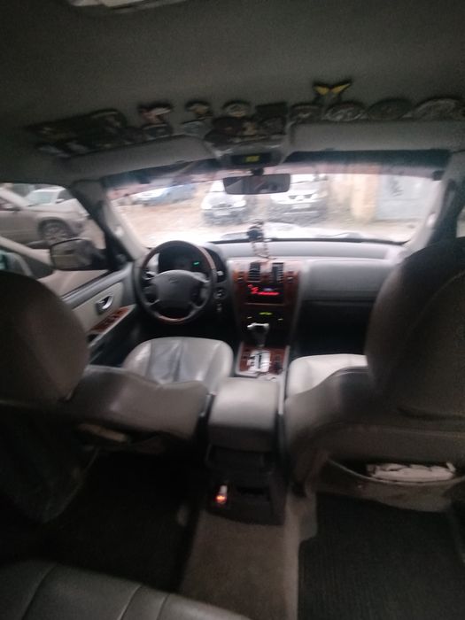 Таракан для бездоріжжя