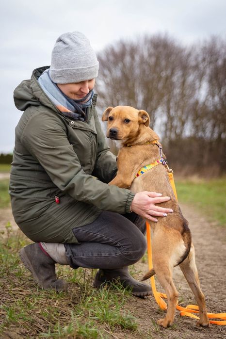 Żabka czeka na dom w Schronisku Nadzieja w Napierkach