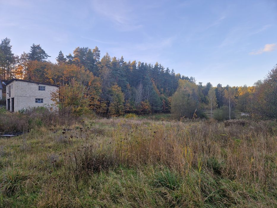 Dzałka, Siedlisko, Żwirownia, Siedlisko, Gospodarstwo, Stadnina - View 4