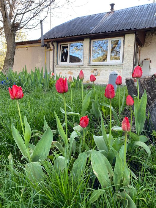 Продається будинок 40 хв від Київа, розвінена інфраструктура.