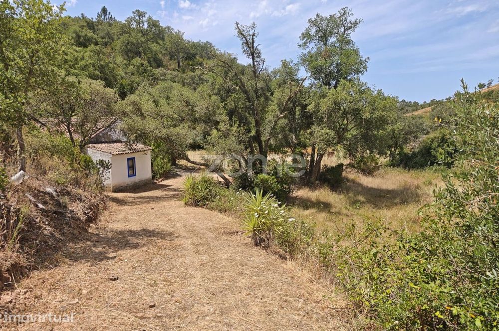 Quinta com moradia T2 inserida em terreno de 59.680 m²