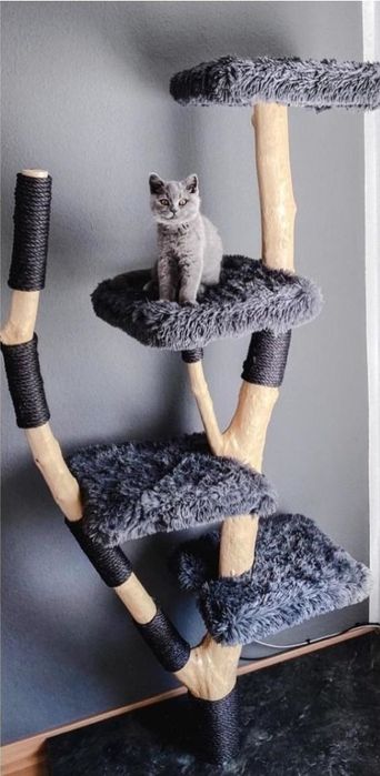 Кігтеточка, будиночок, дряпка для котиків