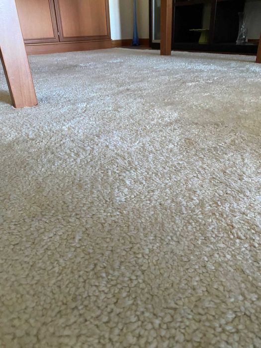 Carpete 2m x 2.9m