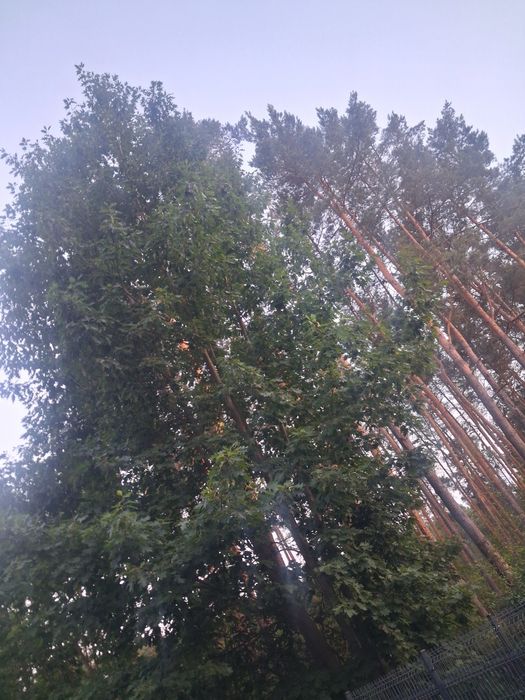 Sprzedam Działkę