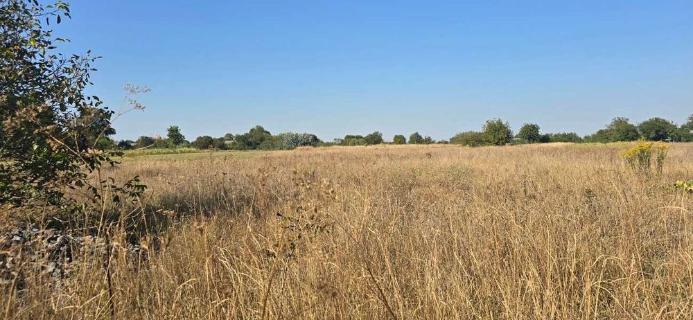 Продається ділянка під будівництво 23 сотки с.Вереси (26144869)