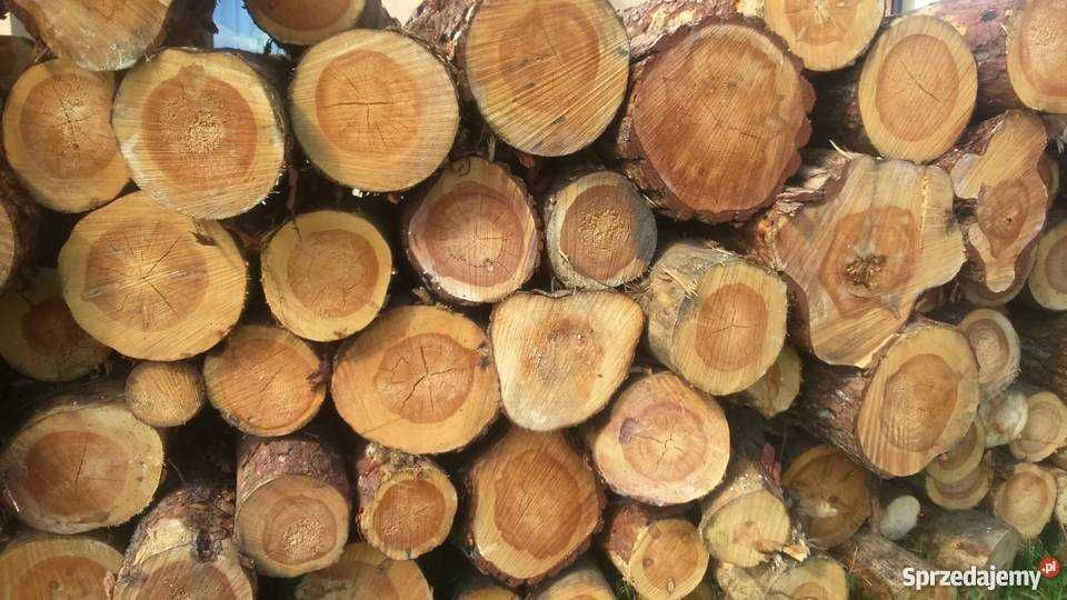 Słupki ogrodzeniowe drewno  Żerdzie