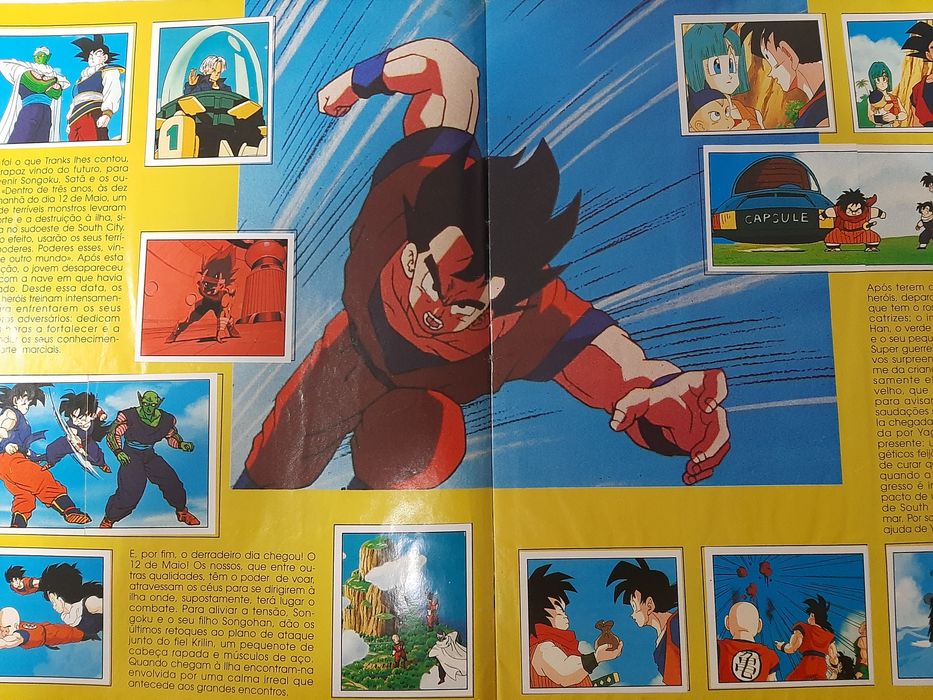 Caderneta Dragon Ball Z2
