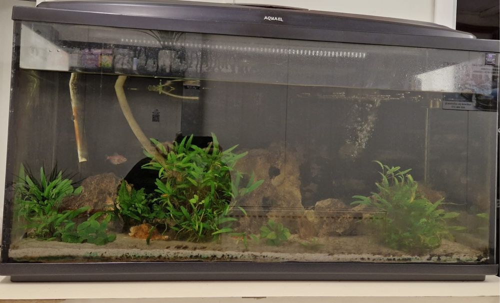 Akwarium 200 l z osprzętem