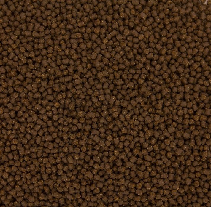 glopex koi premium karma dla ryb 100g granulat 6mm