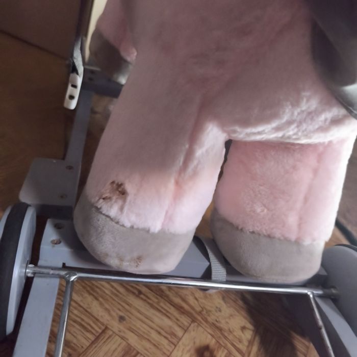 Koń na biegunach plus kółka