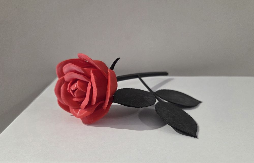 Walentynki Dzień Zakochanych Róża Kwiat