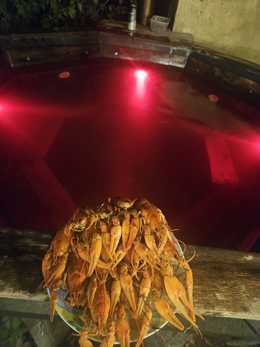 Чан на дровах з гидромассажем