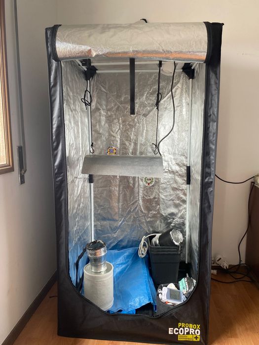 Kit Cultivo Interior Completo Probox EcoPro + HPS 250W + Sementes