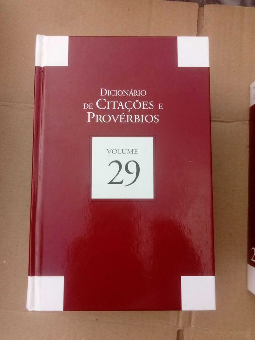 livros enciclopedia dicionario dos sinonimos