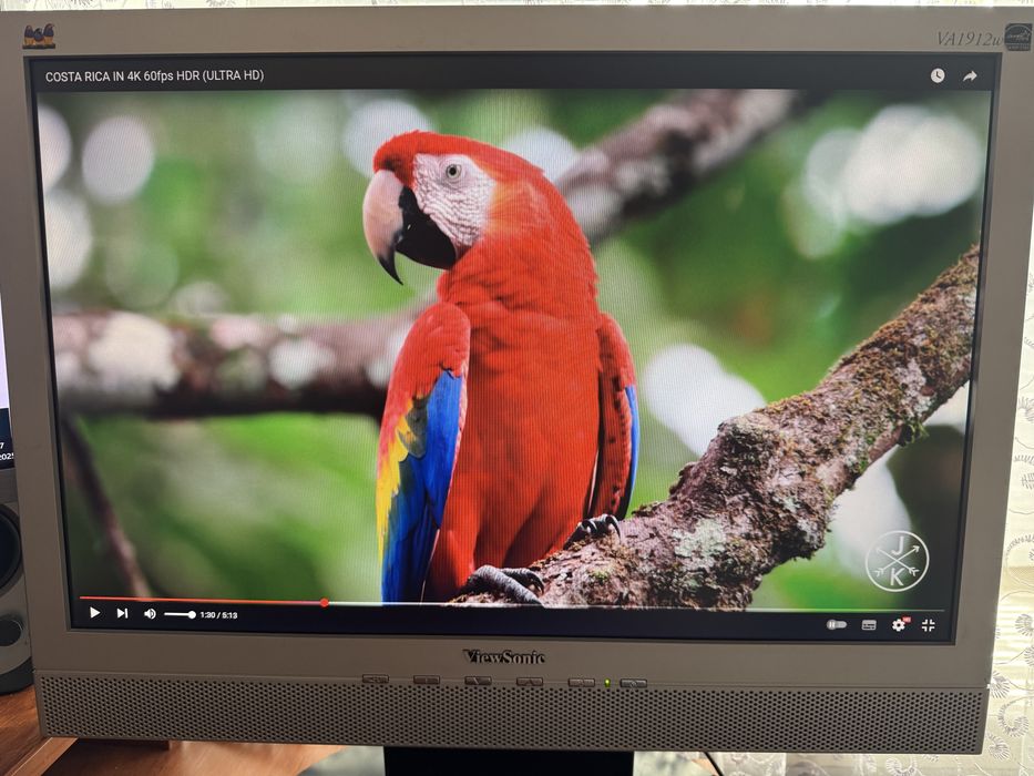 Монитор ViewSonic VA1912w. Широкоформатный 16:10 с динамиками.