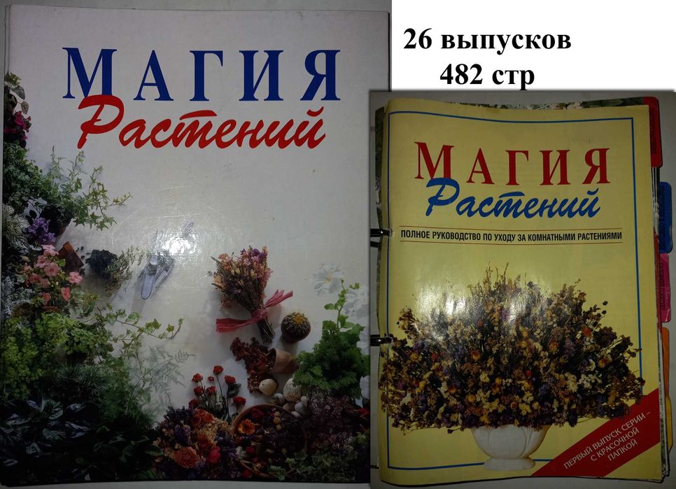 Детка Гиппеаструм Амариллис Цветы комнатные цветущие растения Киев