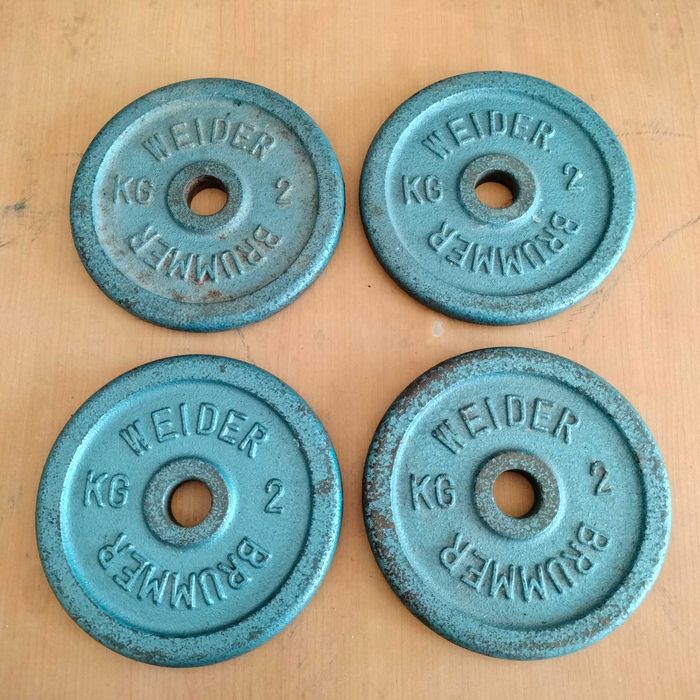 Conjunto 4 Discos Musculação Weider Brummer 2kg