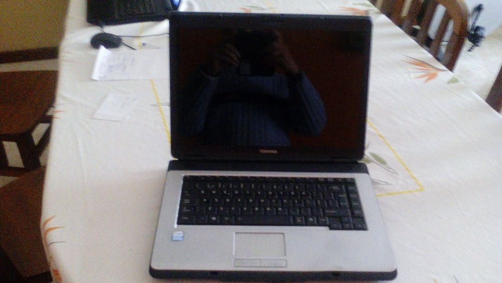 Toshiba Satélite L300