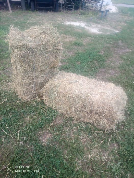 Продам сіно в тюках