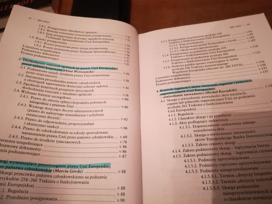 System Ochrony Prawnej W Ue Wyrozumska