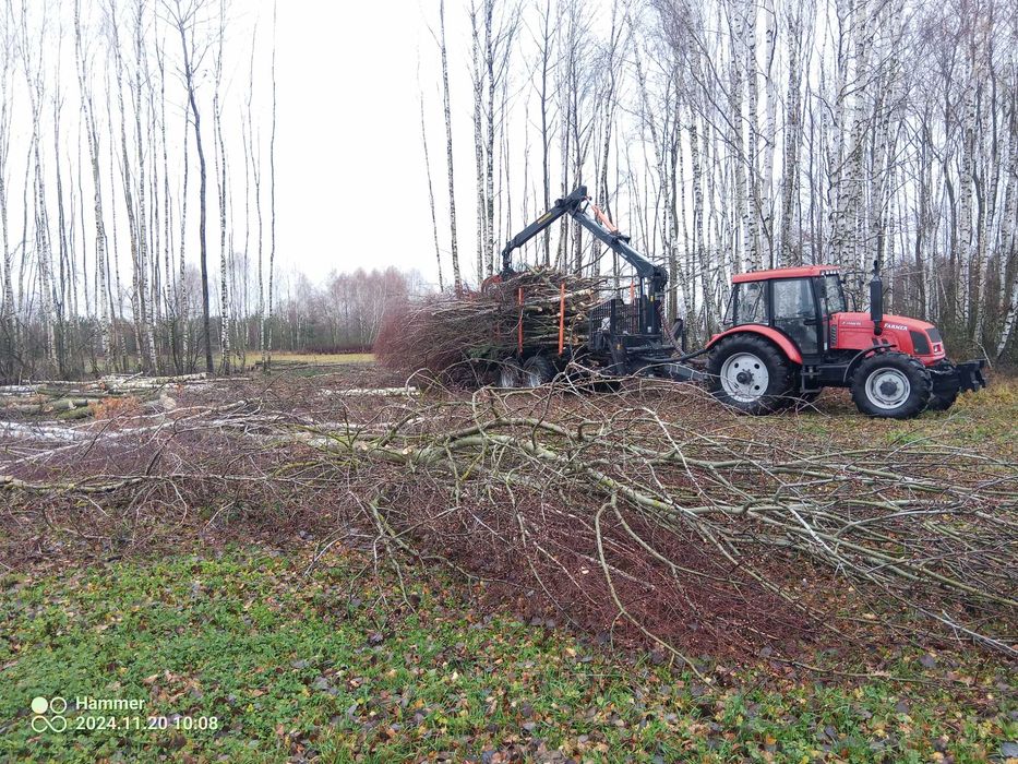Wycinki drzew, lasów i działek, usługi Leśne i ogrodnicze