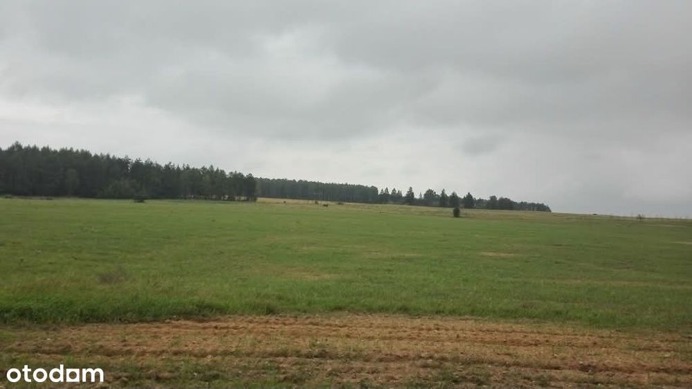 Mazury -Działki całoroczne od 1000m² | 2h od Warszawy