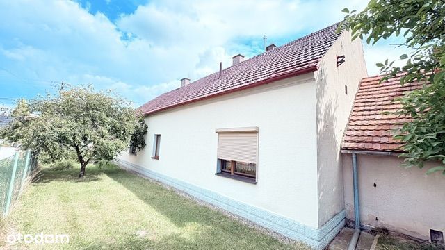 Zdjęcie 7