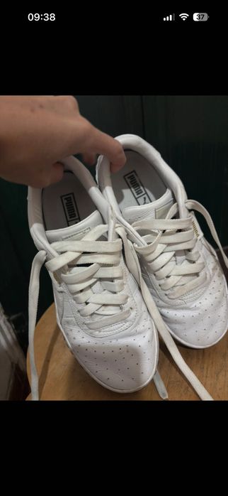 Puma em bom estado, negociável