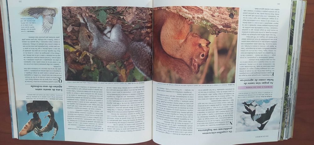 Livro "O Mundo Maravilhoso dos Animais Selvagens"
