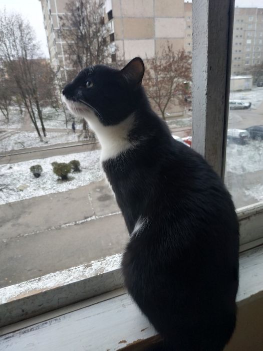 Хлопчик в добру родину