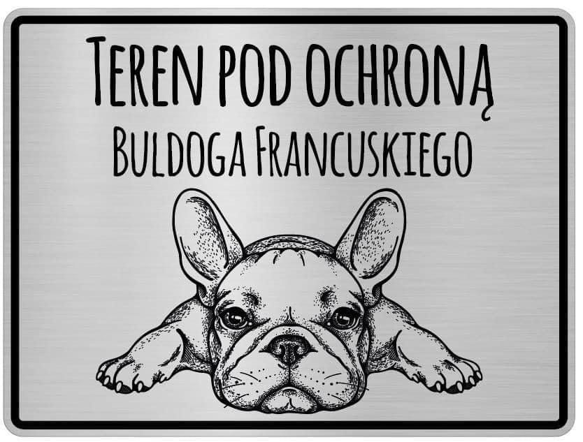 Tabliczka na posesje uwaga pies . Buldog Francuski.