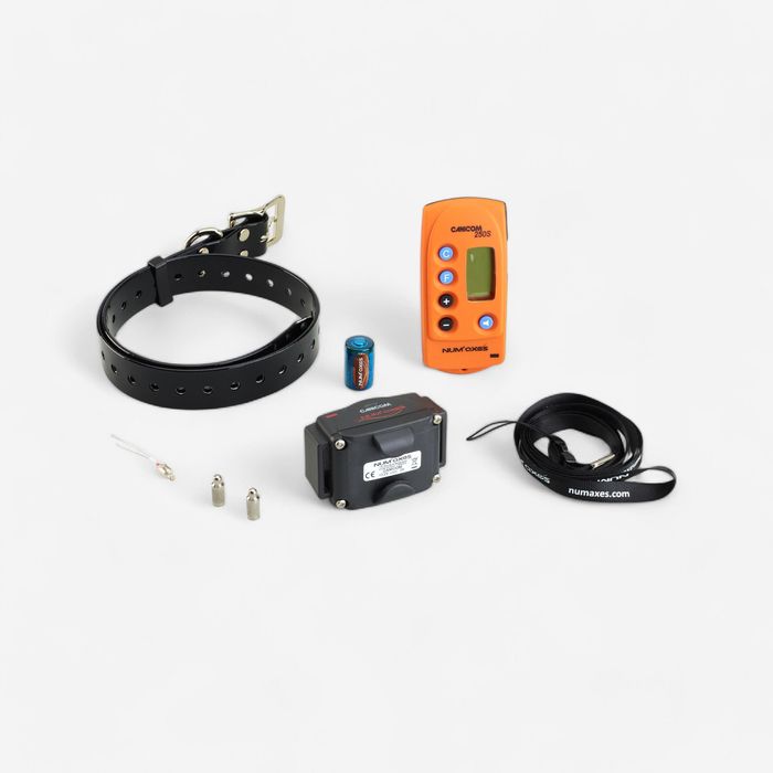 COLEIRA + TELECOMANDO DE ADESTRAMENTO DE CÃO DE CAÇA NUM'AXES CANICOM
