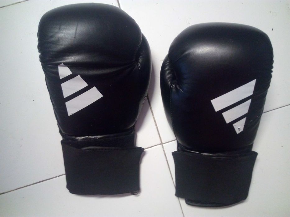 Luvas de Boxe SPEED 50 de 10oz / 14oz