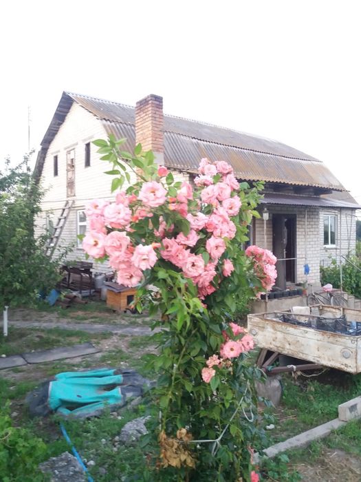 Аренда часного дома