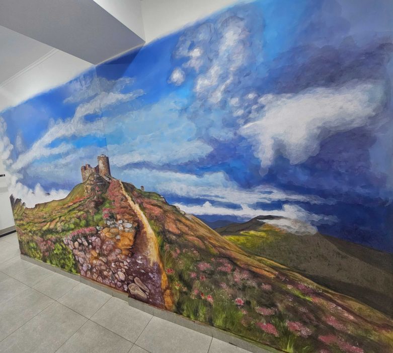 Художній розпис стін . Івано-Франківськ.