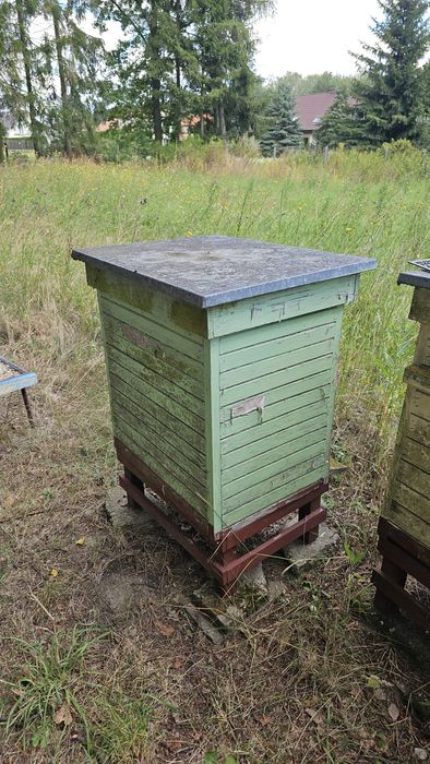 Ule drewniane, dadant, warszawski i wlkp. Opis!