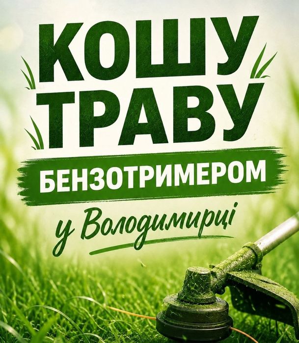 Покіс трави у Володимирці