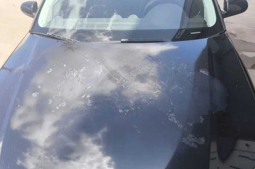 Audi A3 1.9 TDI 105cv 8P