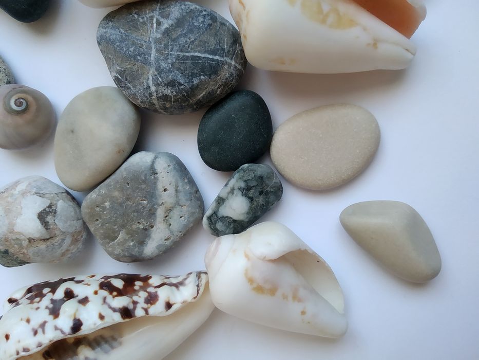 Мушлі з Кіпра/ перешлю