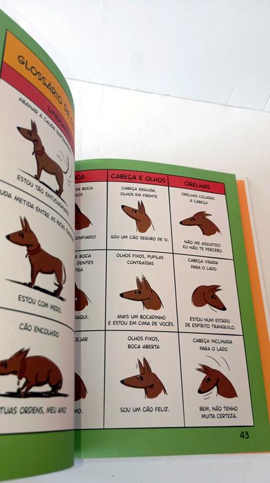 Ter um Cão é o Máximo, Mas...