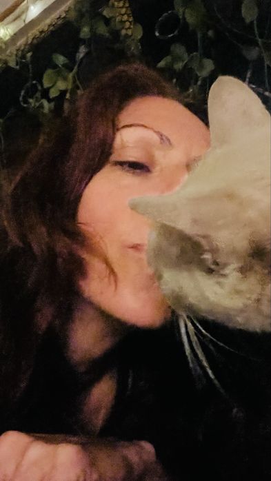 Pet-sitting de Gatos