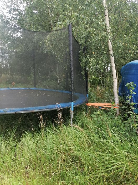 Trampolina używana